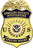 HSI badge
