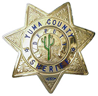 7-point deputy badge